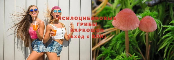 гашишное масло Алексеевка
