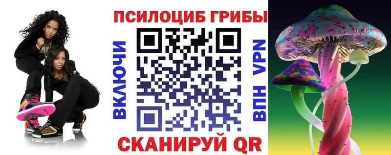 Псилоцибиновые грибы мухоморы  где купить наркотик  Грайворон 